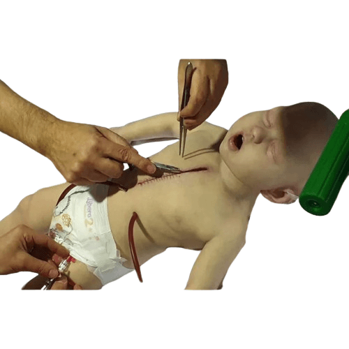 HARLEY2 - 3 Year Old Resternomy Manikin