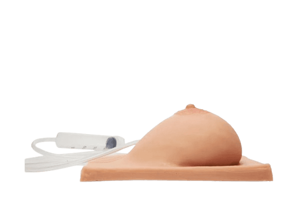 Breast with lactation for breastfeeding training