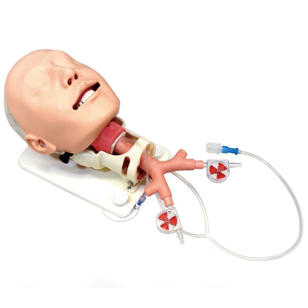 MW14 Difficult Airway Management Simulator - Demonstration Model MW14 Difficult Airway Management Simulator - Demonstration Model