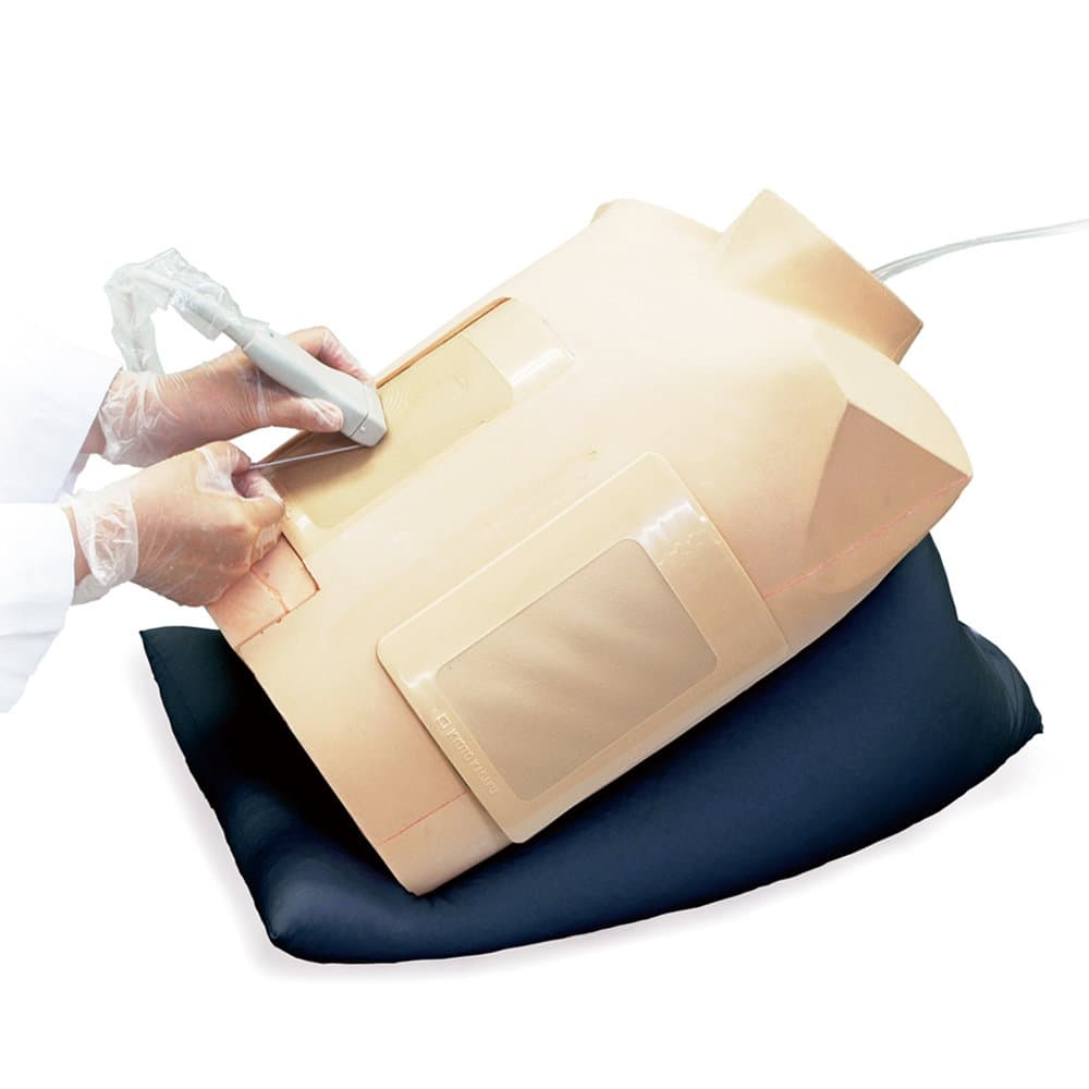 MW17 Ultrasound-Guided Thoracentesis/ Pericardiocentesis Simulator MW17 Ultrasound-Guided Thoracentesis/ Pericardiocentesis Simulator