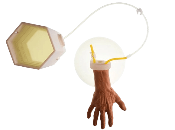 IV Hand Trainer IV Hand Trainer