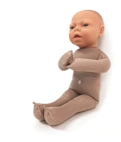 Fetus Model Fetus Model